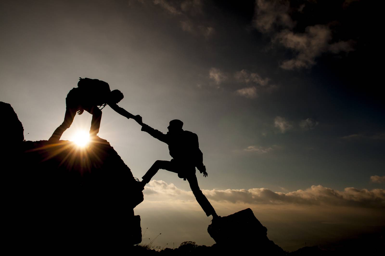 Collaboration en temps réel sur la plateforme HOLIS